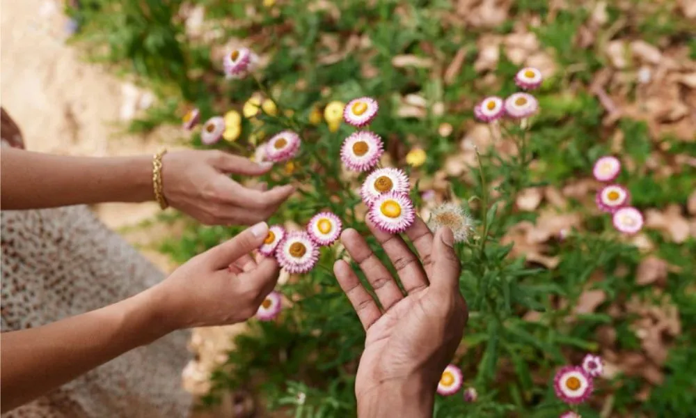 Cultural Tour of Adelaide Botanic Garden-4