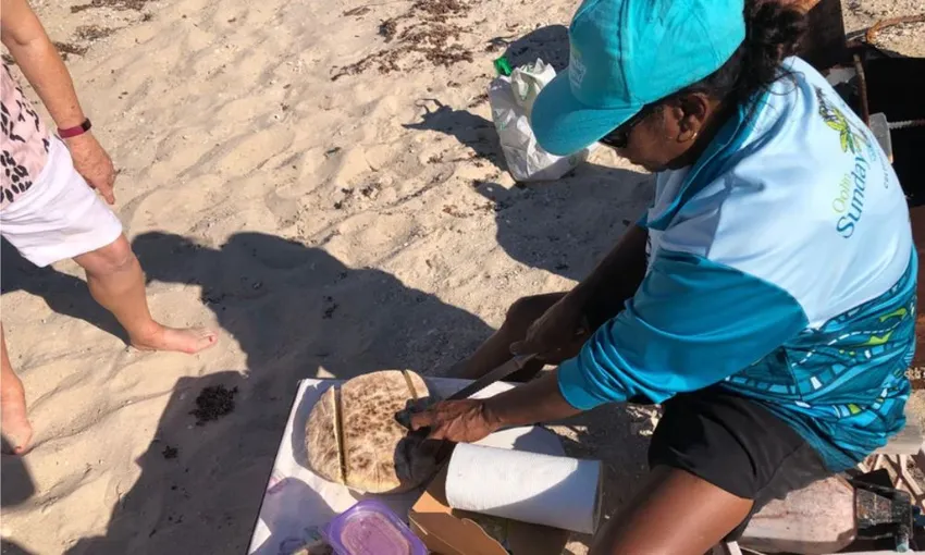 Dampier Peninsula Oolin Sunday Island Cultural Tour | Experience Oz