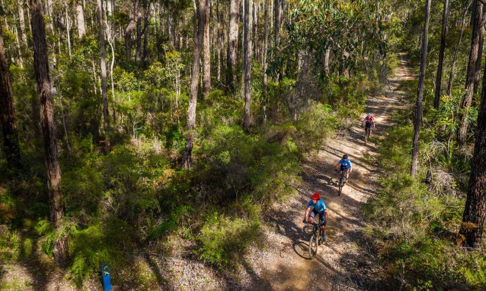 Intermediate Mountain Biking Tour, 2 Hours - Margaret River