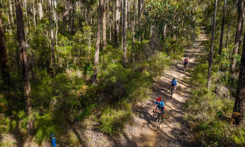 Intermediate Mountain Biking, 2 Hours - Margaret River