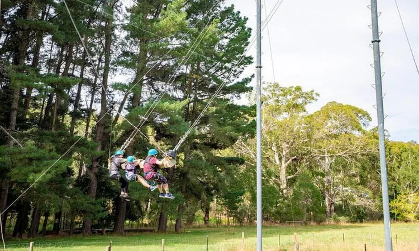 Mount Lofty Rock Climb, Zipline & Mega Swing | Experience Oz