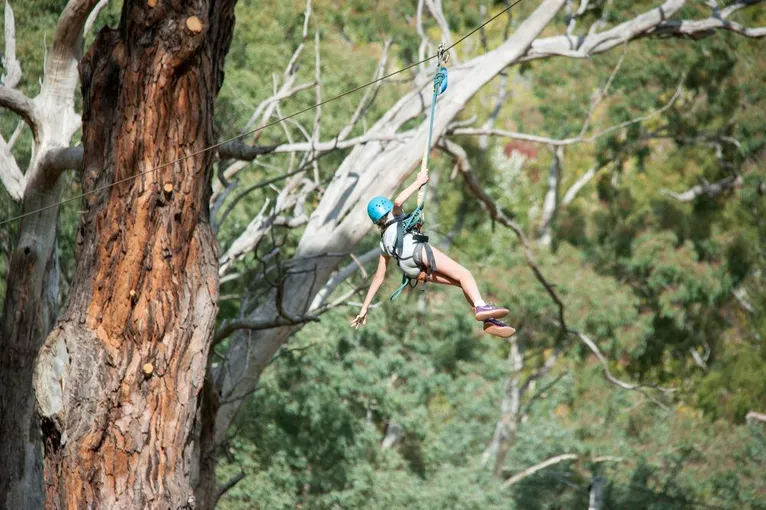 Mount Lofty Rock Climb, Zipline & Mega Swing | Experience Oz