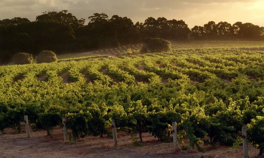 Scenic Flight from Perth to Leeuwin Estate Winery