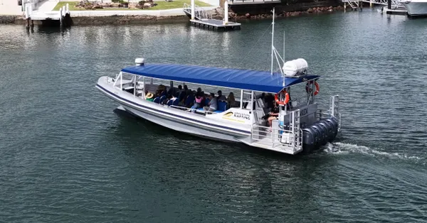 Mooloolaba 2 hour Whale Watching Experience