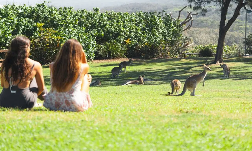 North Stradbroke Island Tour From Brisbane - Book Now | Experience Oz