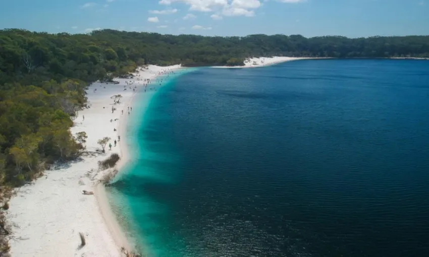 Dingos 3 Day K'gari (Fraser Island) 4WD Tag-Along Tour