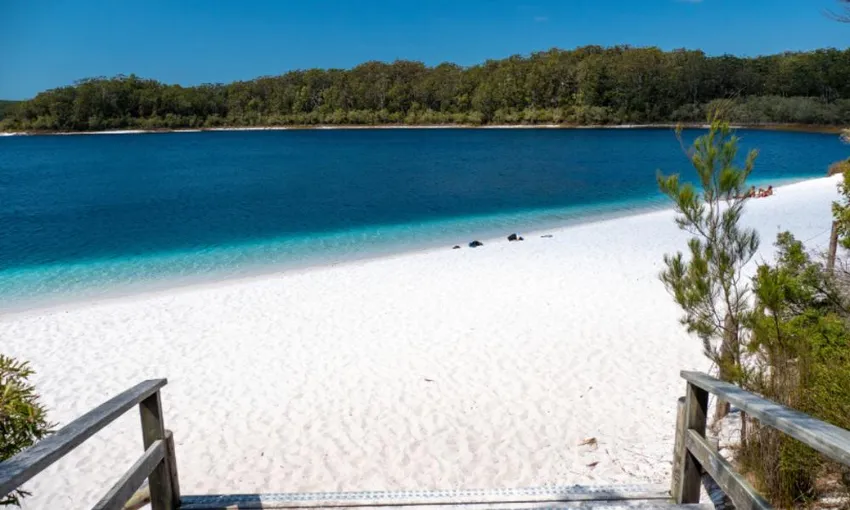 Dingos 3 Day K'gari (Fraser Island) 4WD Tag-Along Tour