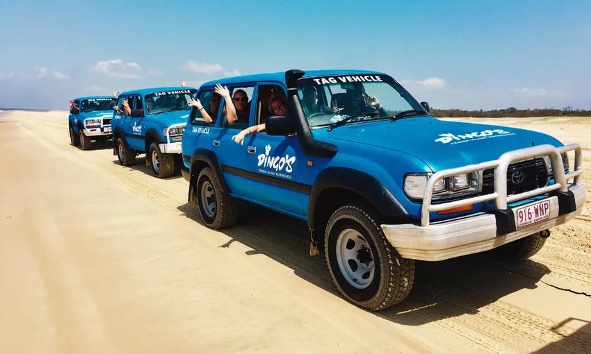 Dingos 2 Day K'gari (Fraser Island) 4WD Tag-Along Tour