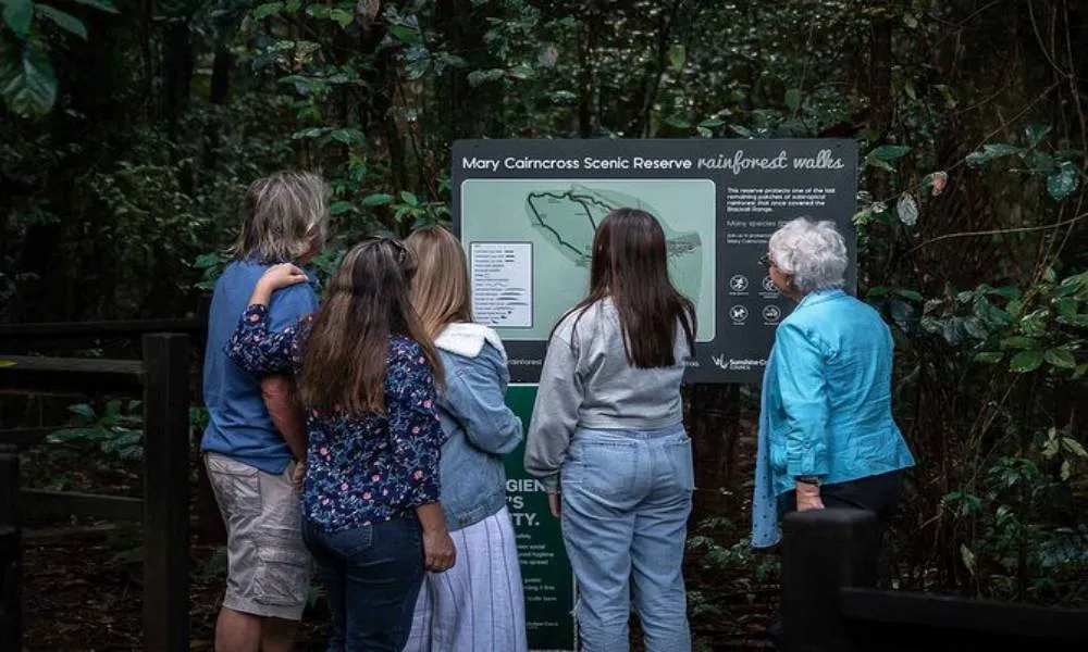 Sunshine Coast Hinterland and Noosa Tour- Book Now | Experience Oz-4