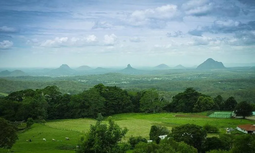 Sunshine Coast Hinterland and Noosa Tour- Book Now | Experience Oz-5