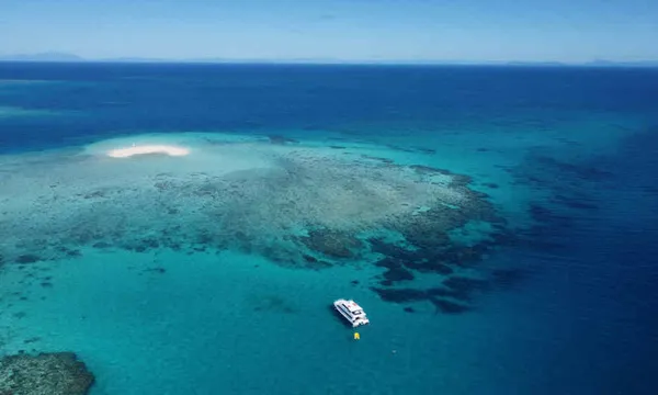 Beaver Reef & Dunk Island Tour from Cairns - Full Day