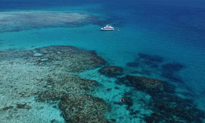 Beaver Reef & Dunk Island Day Tour from Cairns | Experience Oz