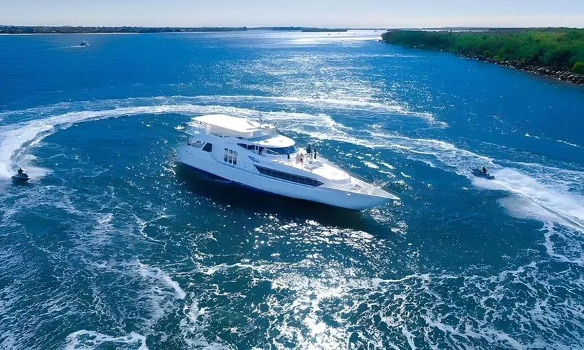 Gold Coast Whale Watching Yacht Cruise, 2.5 Hours