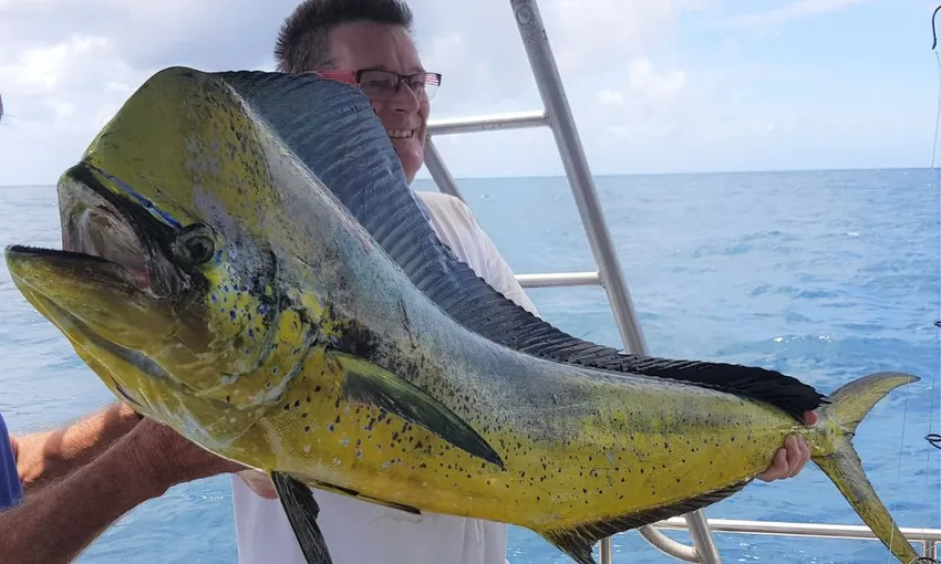 Gold Coast Half Day Fishing Charter