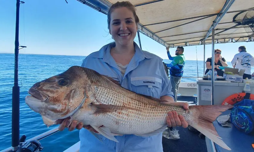 Gold Coast Half Day Fishing Charter