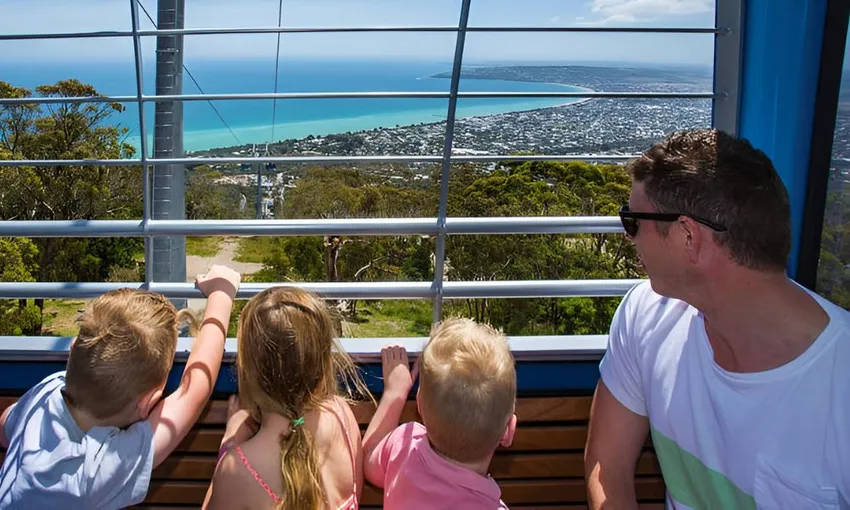 Cable Car Ride Over the Mornington Peninsula - 25 Minutes | Experience OZ