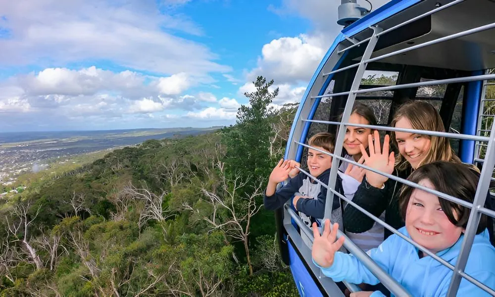 Cable Car Ride Over the Mornington Peninsula - 25 Minutes | Experience OZ-6