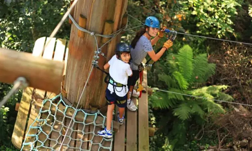 Nowra Park Tree Top Adventure Course With Zip-Lining 