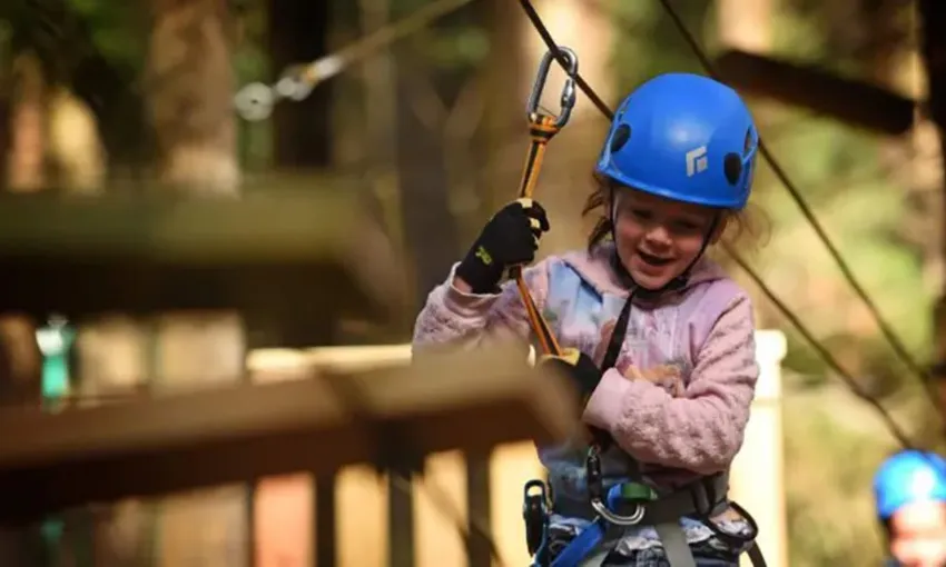 Nowra Park Tree Top Adventure Course With Zip-Lining 