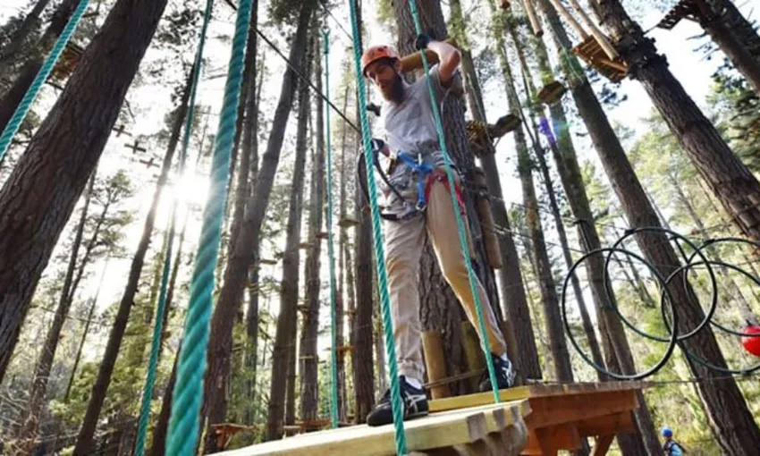 Nowra Park Tree Top Adventure Course With Zip-Lining 