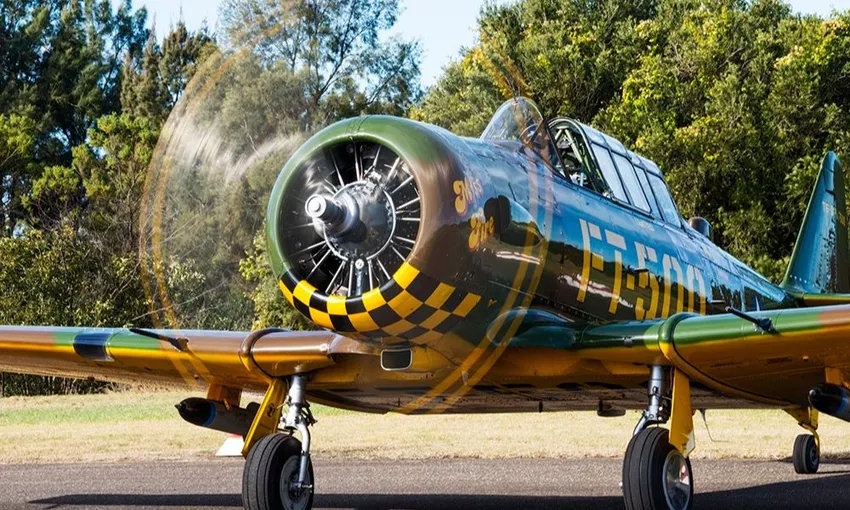 Aerobatic Flight in a Genuine WW2 Warbird Plane
