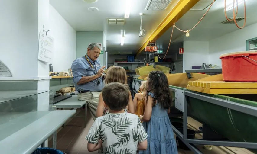 Riversleigh Fossil Discovery Centre & Guided Tour - Book Now | Experience Oz