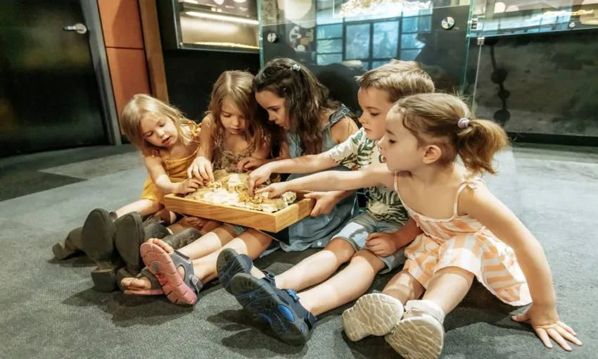Riversleigh Fossil Discovery Centre & Guided Tour - Book Now | Experience Oz