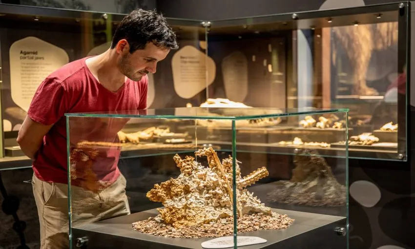Riversleigh Fossil Discovery Centre & Guided Tour - Book Now | Experience Oz