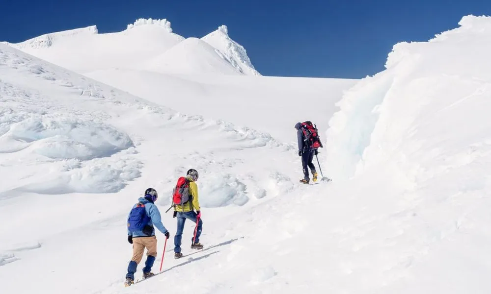 Premium Mt Ruapehu Summit Plateau Guided Group Hike-7