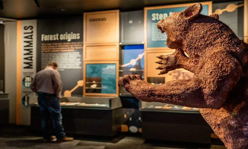 Riversleigh Fossil Discovery Centre Tickets - Book Now | Experience Oz-1
