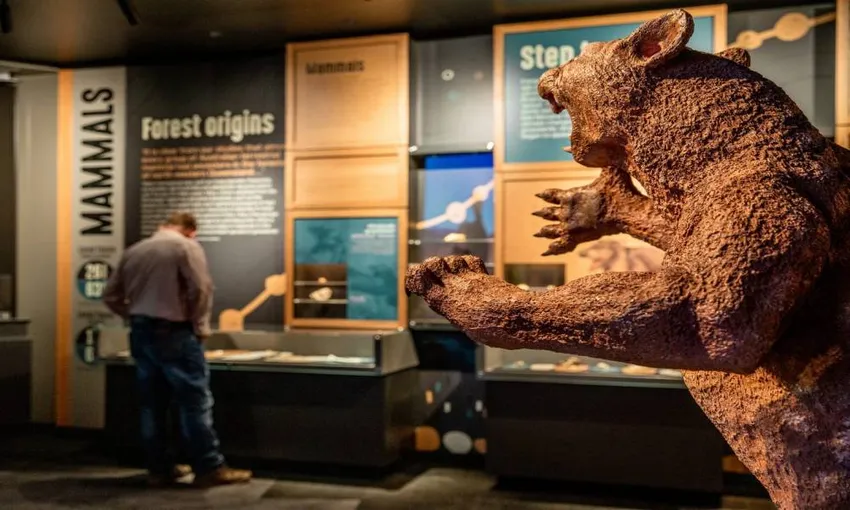 Riversleigh Fossil Discovery Centre Tickets - Book Now | Experience Oz