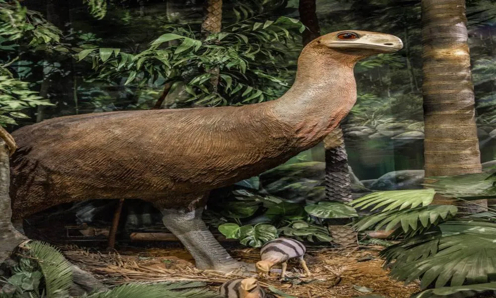 Riversleigh Fossil Discovery Centre Tickets - Book Now | Experience Oz-6