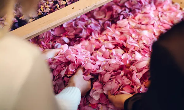 Jurlique Farm Private Tour with Tea and Gifts - 1.5 Hours