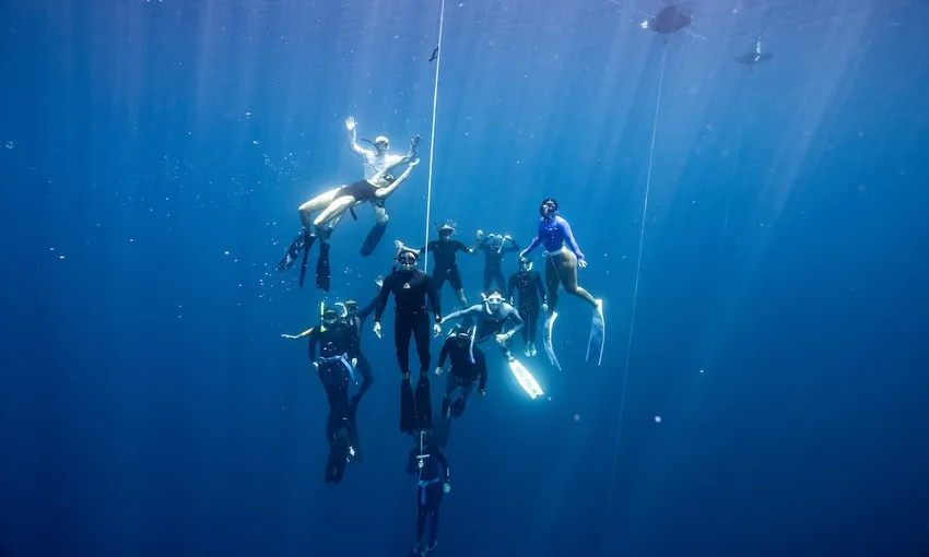Sydney Learn to Freedive, 2 Day Course 