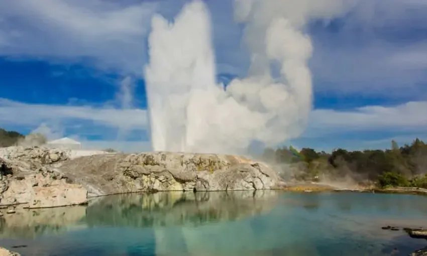 Whakarewarewa Village Guided Tour - 1 Hour