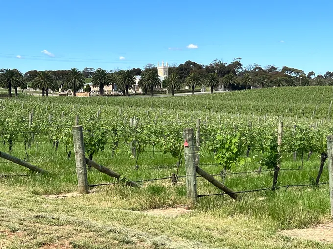 Northern Barossa Voyager Full Day Winery Tour | Experience Oz