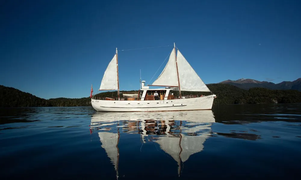 Fiordland Evening Champagne Cruise from Te Anau | Experience OZ-4