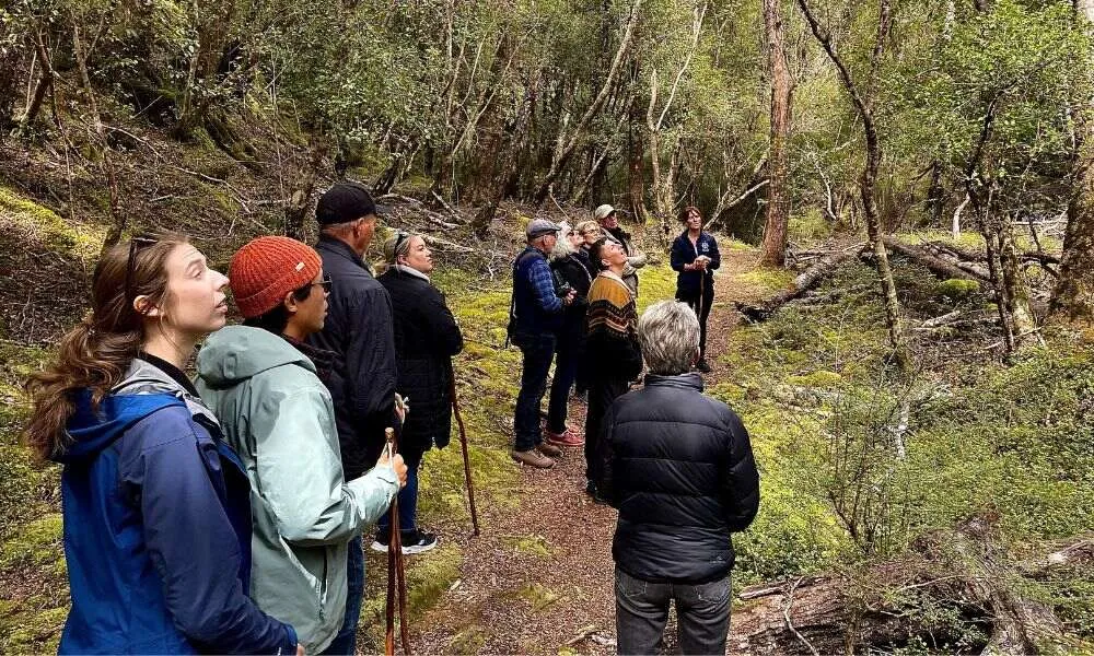 Scenic Cruise and Guided Walk Through Te Anau - 3 Hours | Experience Oz-5