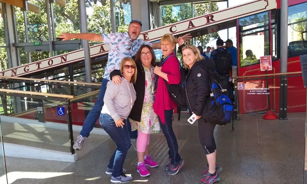Wellington City Sightseeing Group Tour - Half Day | Experience OZ-4