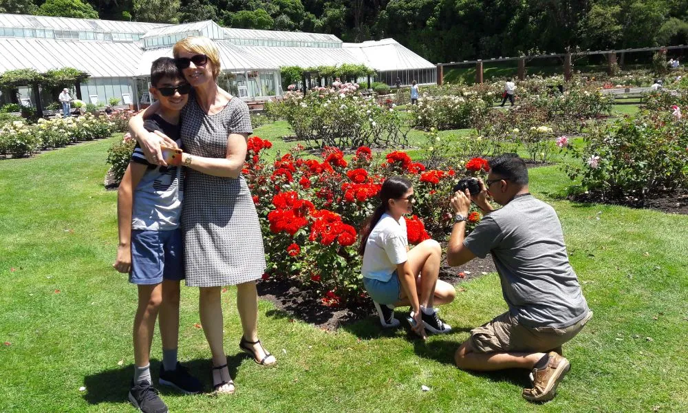 Wellington City Sightseeing Group Tour - Half Day | Experience OZ-2