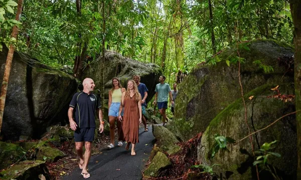 Cairns Waterfall and Rainforest Tour - Half Day