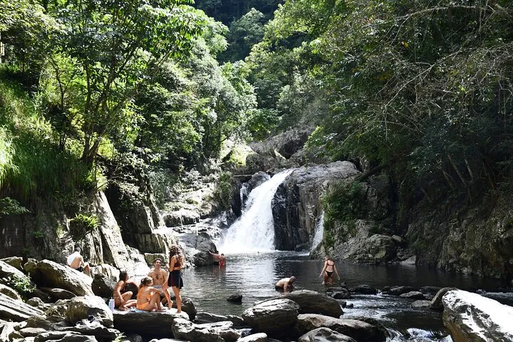 Cairns Waterfall and Rainforest Tour - Half Day | Experience Oz