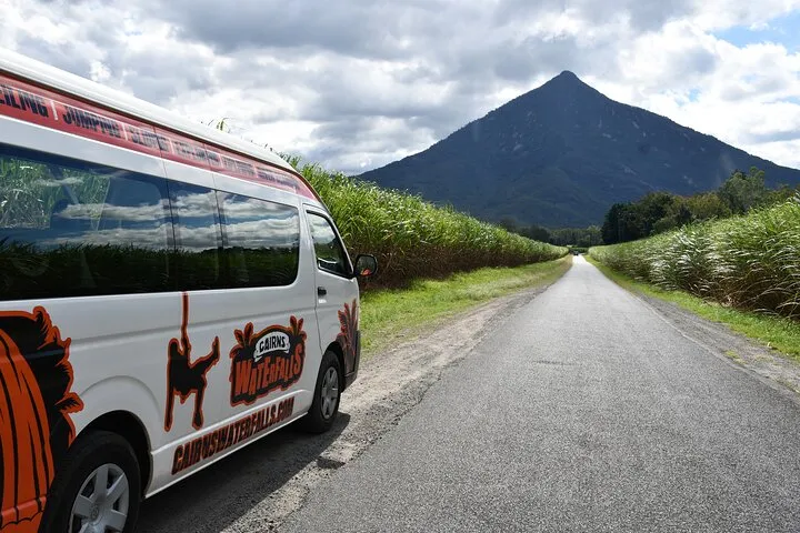 Cairns Waterfall and Rainforest Tour - Half Day | Experience Oz