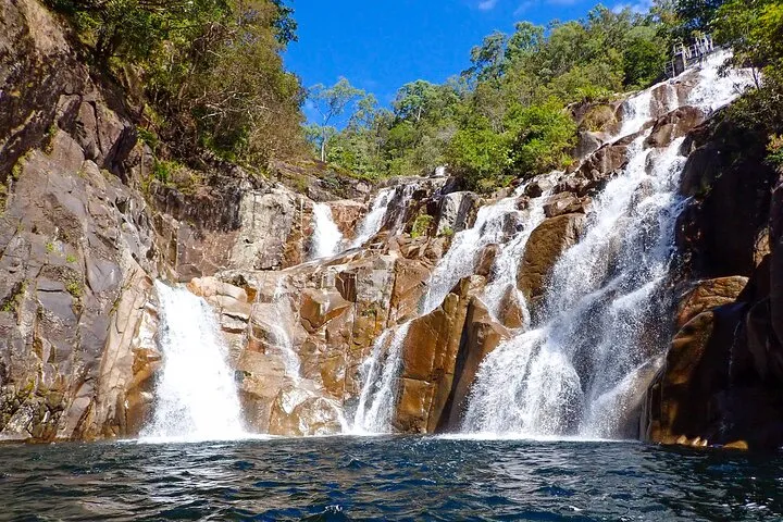Cairns Waterfall and Rainforest Tour - Half Day | Experience Oz