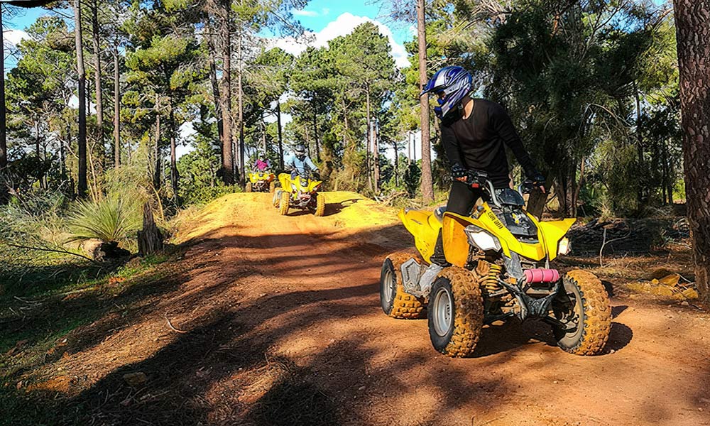 Quad Bike Adventure Tour at Pinjar, 1 Hour