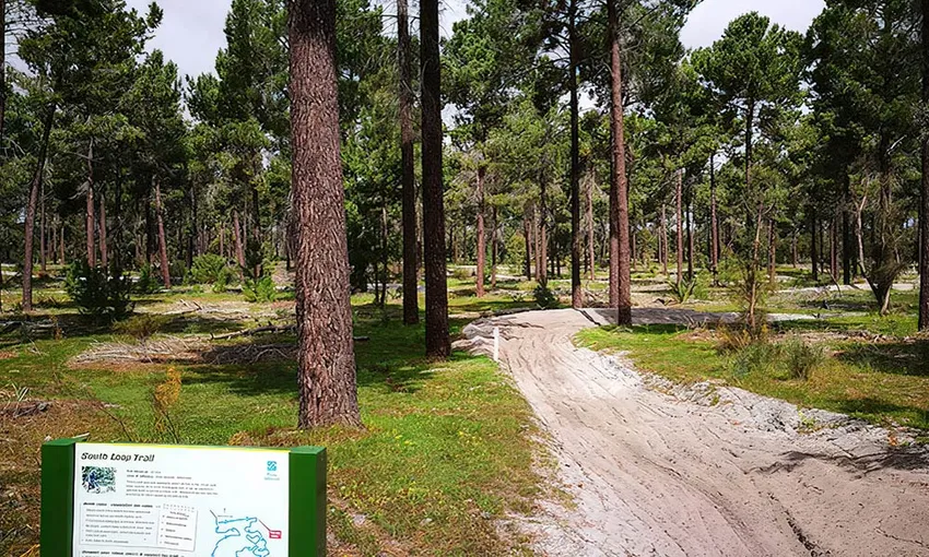 Quad Bike Adventure Tour at Pinjar, 1 Hour