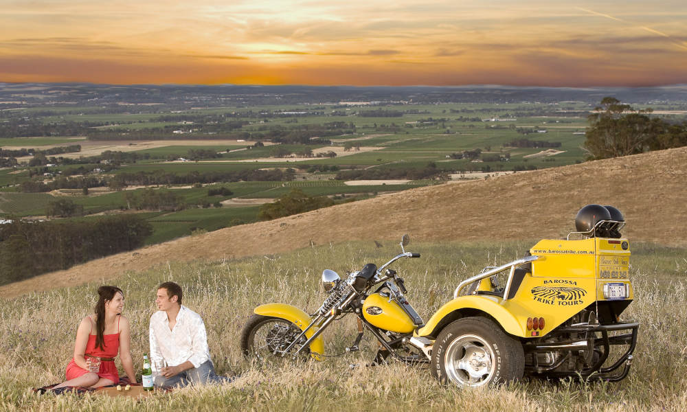 Trike Tour - 3.5 Hours - Barossa Valley