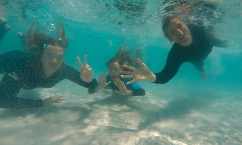 Magnetic Island Eco Discovery Snorkel Tour | Experience Oz