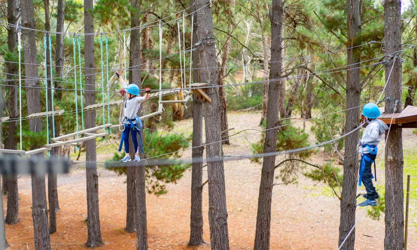 Rock Climbing and Ropes Course Experience, 70 Minutes - Adelaide