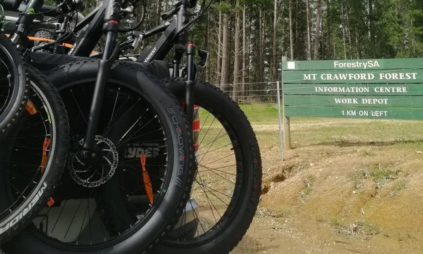 Barossa Valley Electric Bike Hire, 2 Hours